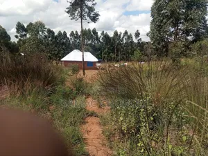 Industrial Plot for Sale Bagamoyo