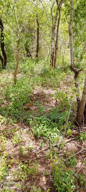 Industrial Plot for Sale Bagamoyo
