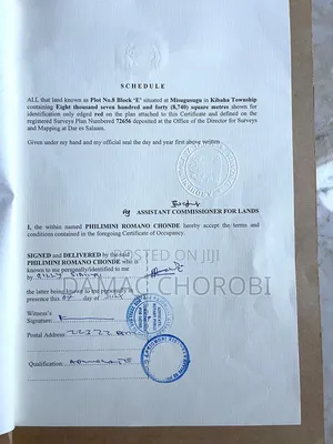 Maeneo Makubwa Ya Uwekezaji Viwanda Yanauzwa Industrial Plot