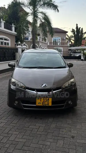 Toyota Wish 2009 Brown