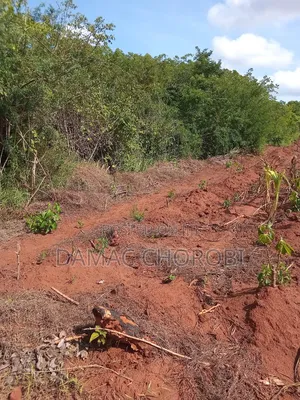 Mashamba Makubwa Kirwa Road Yanauzwa Mshamba Ya Kumwagilia