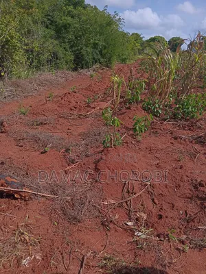 Mashamba Makubwa Kirwa Road Yanauzwa Mshamba Ya Kumwagilia
