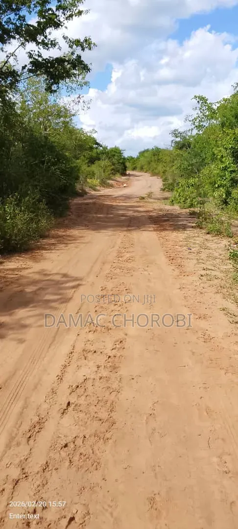 Mashamba Makubwa Kirwa Road Yanauzwa Mshamba Ya Kumwagilia