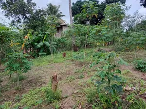 Plot Area SQM 400 for Sale at Goba