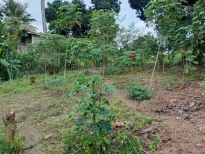 Plot Area SQM 400 for Sale at Goba