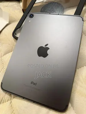 Apple iPad mini Wi-Fi + Cellular 256 GB Gray