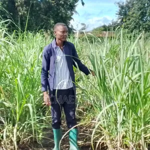 Agricultural Economist