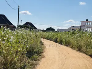 Kiwanja Kizuri Sana Kinauzwa Dodoma Mjini Nzuguni