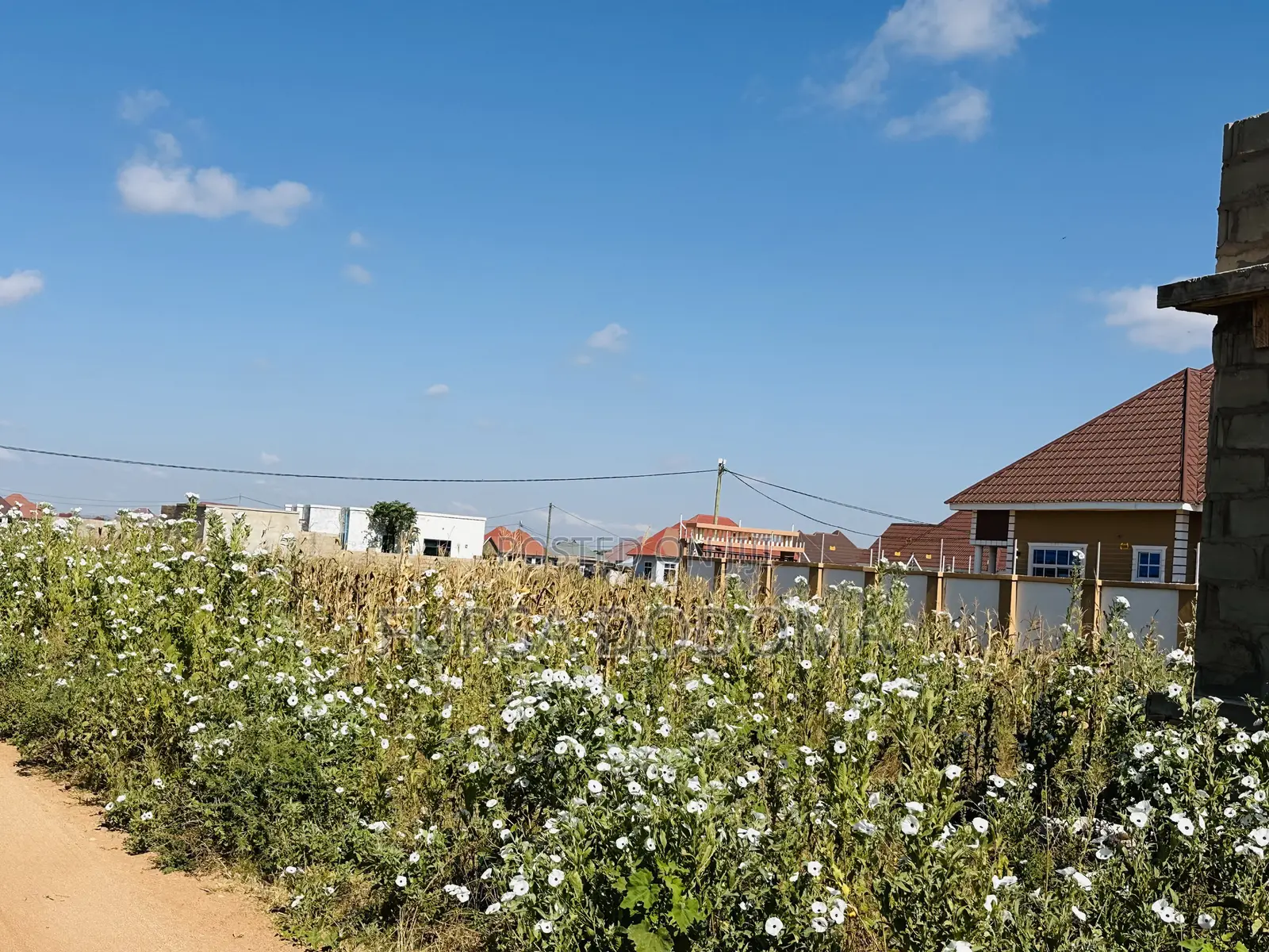 Kiwanja Kizuri Sana Kinauzwa Dodoma Mjini Nzuguni