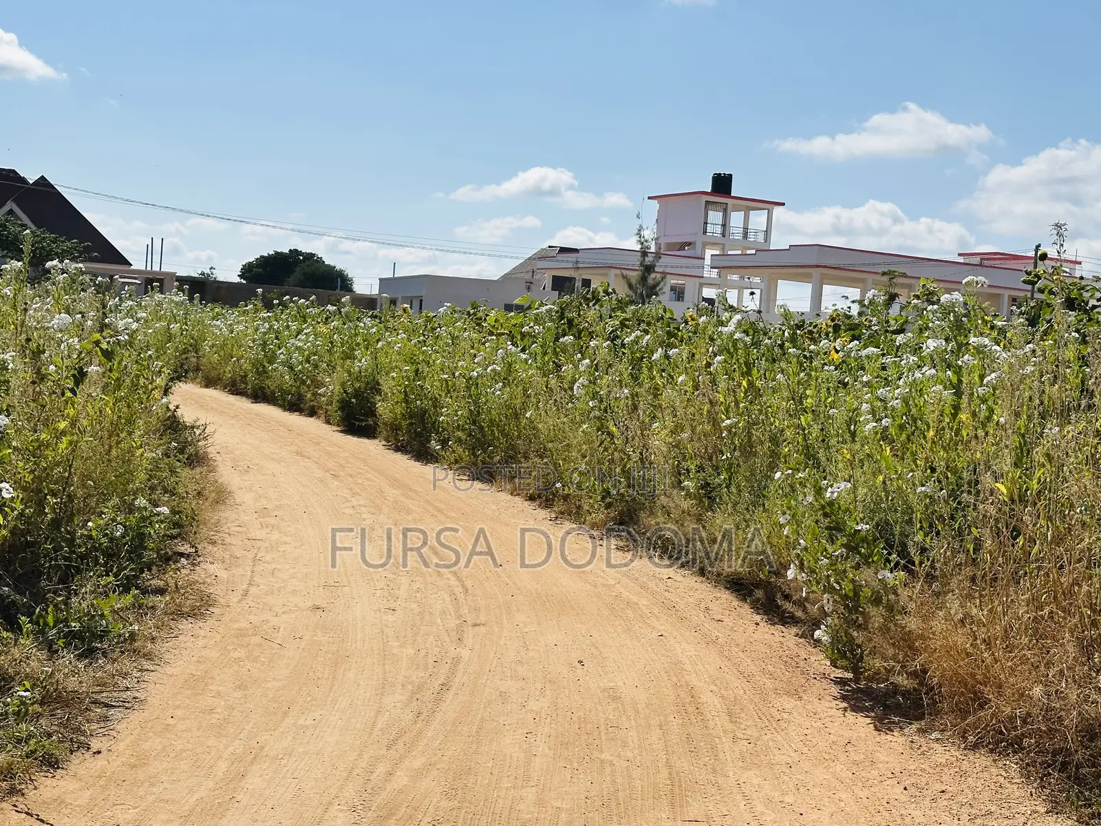 Kiwanja Kizuri Sana Kinauzwa Dodoma Mjini Nzuguni