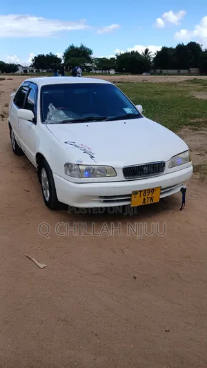 Toyota Corolla 1999 White