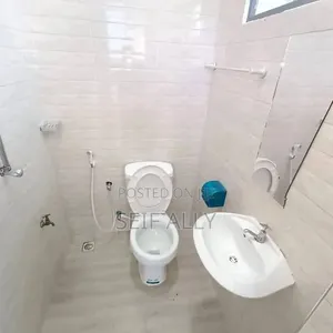 Furnished 2bdrm House in Kijitonyama for rent