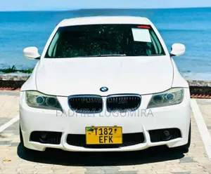 BMW 3 Series 2009 White
