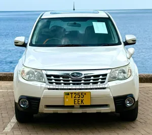 Toyota Harrier 2010 White
