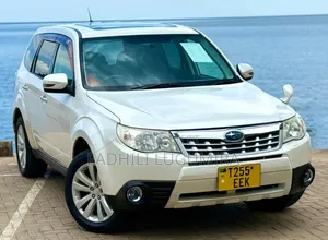 Toyota Harrier 2010 White