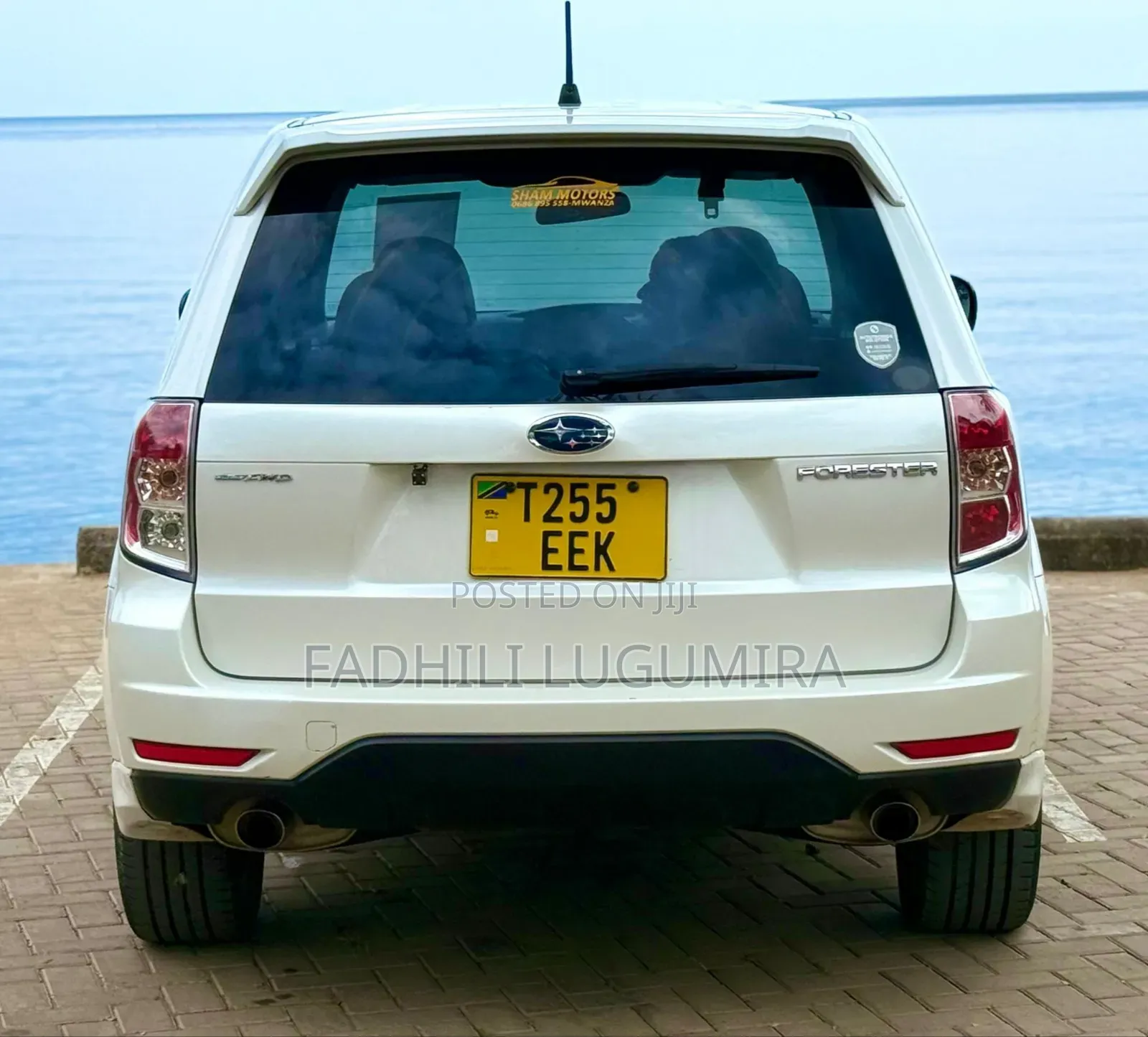 Toyota Harrier 2010 White