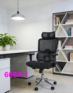 Ergonomic Chairs