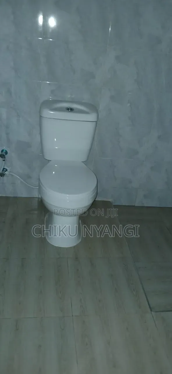 2bdrm House in Chiku Nyangi, Central Business Area for rent