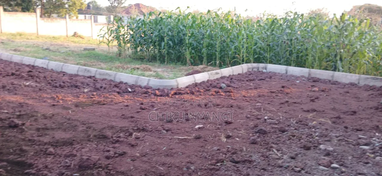 2bdrm House in Chiku Nyangi, Central Business Area for rent