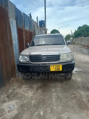 Toyota Land Cruiser 2005 Silver