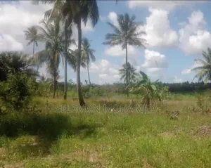Shamba Lenye Nyumba Tatu Linauzwa Mwanambaya