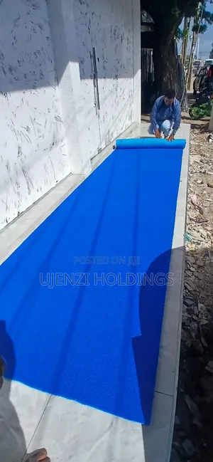 Outdoor Entrance Carpet in Tanzania