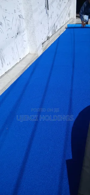 Plastic Carpet Mat for Shop Entrance- In Tanzania