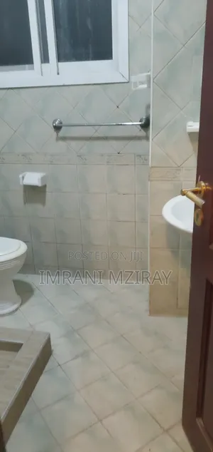 Furnished 3bdrm Apartment in Masaki for rent