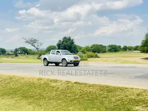 Kiwanja Cha Kujenga ( Petrol Station ) Kinauzwa Nyanguge