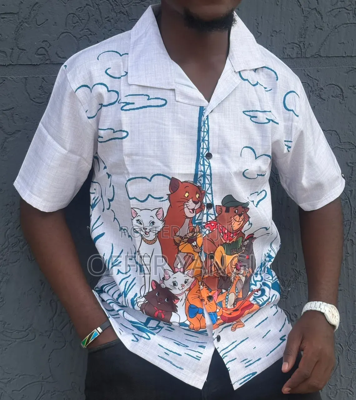Beachboy Shirts