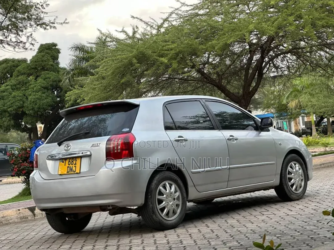 Toyota Allex 2004 Silver