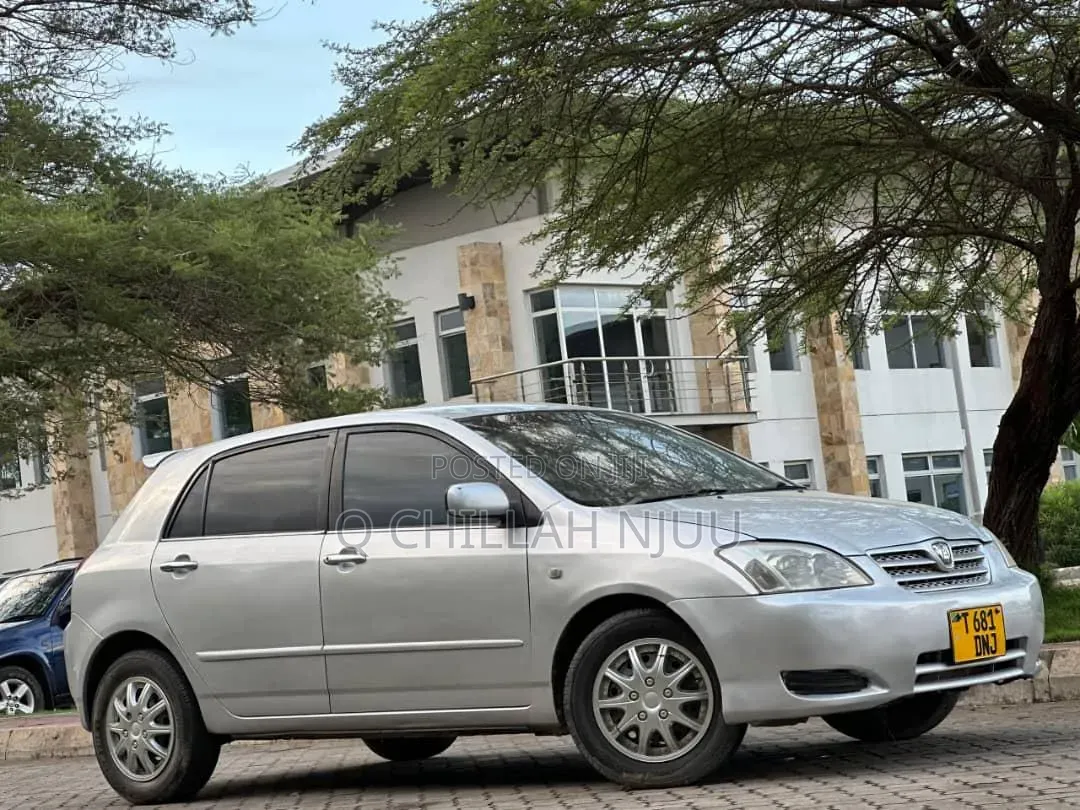 Toyota Allex 2004 Silver