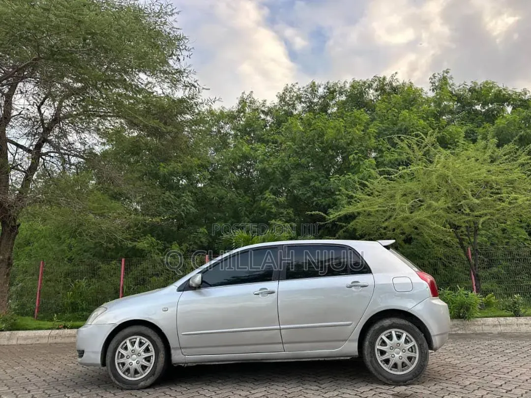 Toyota Allex 2004 Silver