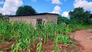 Shamba La Ekari 10 Na Nyumba Za Kisasa 2 Linauzwa Kiwangwa Bagamoyo