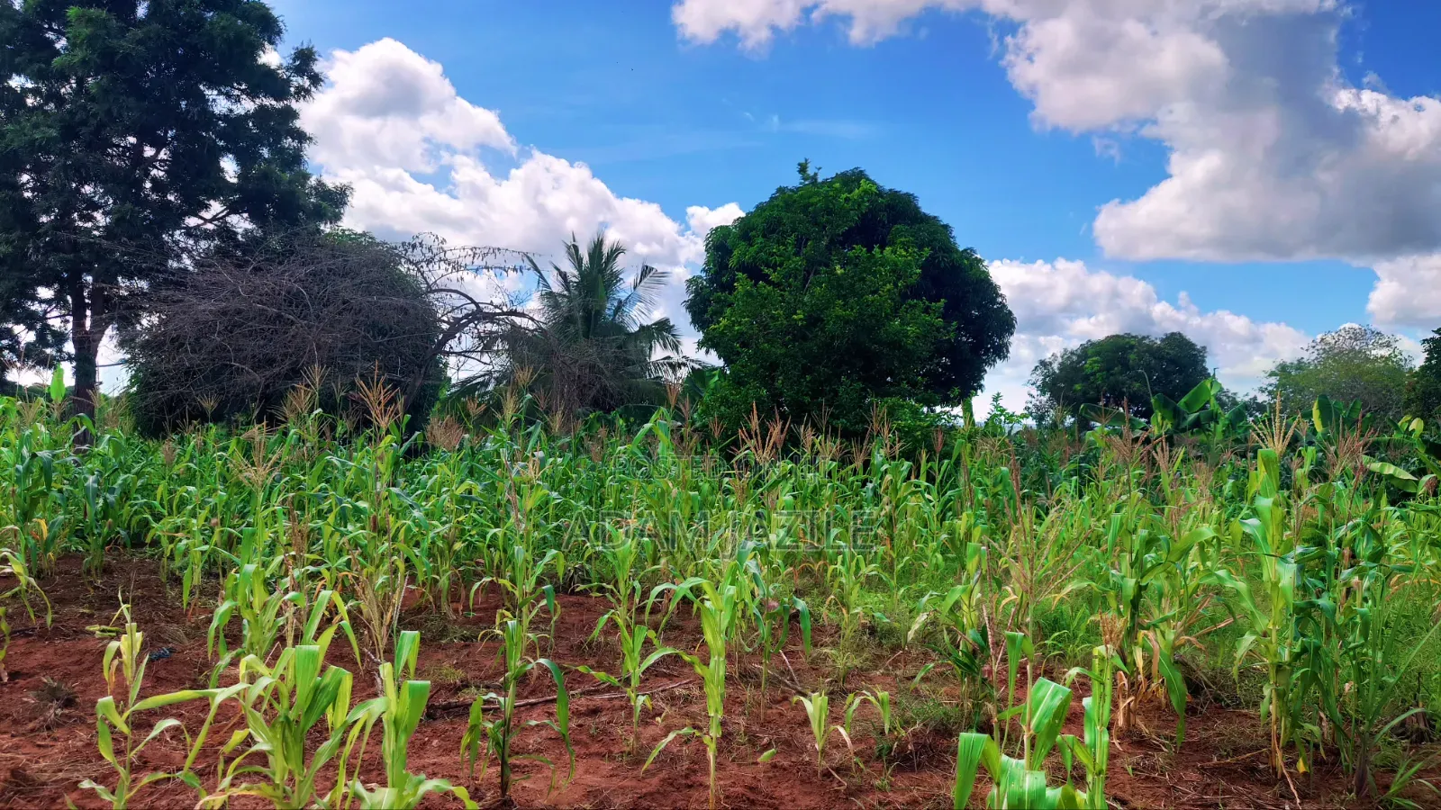 Shamba La Ekari 10 Na Nyumba Za Kisasa 2 Linauzwa Kiwangwa Bagamoyo