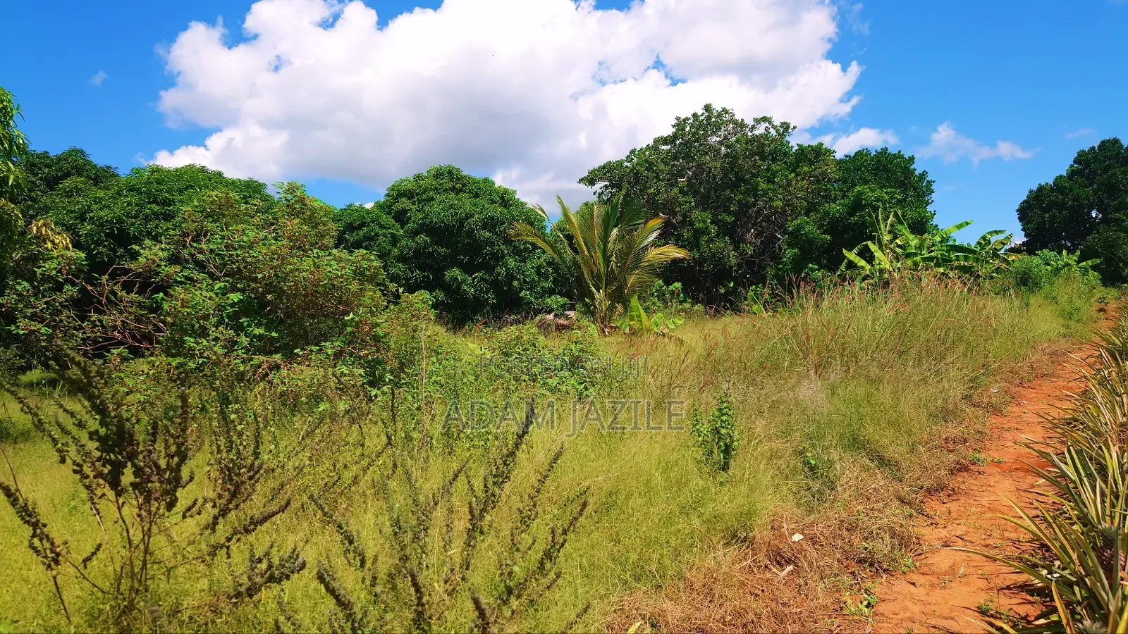 Shamba La Ekari 10 Na Nyumba Za Kisasa 2 Linauzwa Kiwangwa Bagamoyo