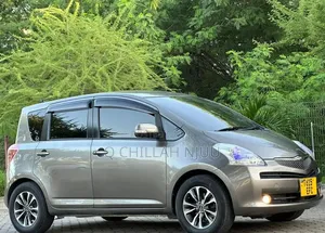 Toyota Ractis 2009 Gray