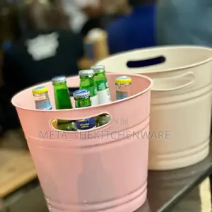 Generic Pastel Metal Beverage Ice Buckets 4 in 1