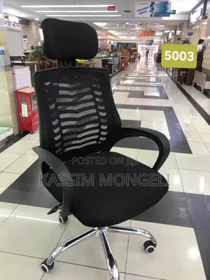 Ergonomic Chairs