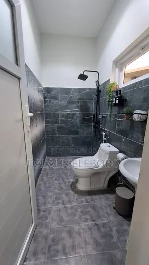 Furnished Mini Flat in Kijitonyama B for rent