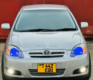 Toyota Corolla RunX 1.5 X AWD 2006 Silver