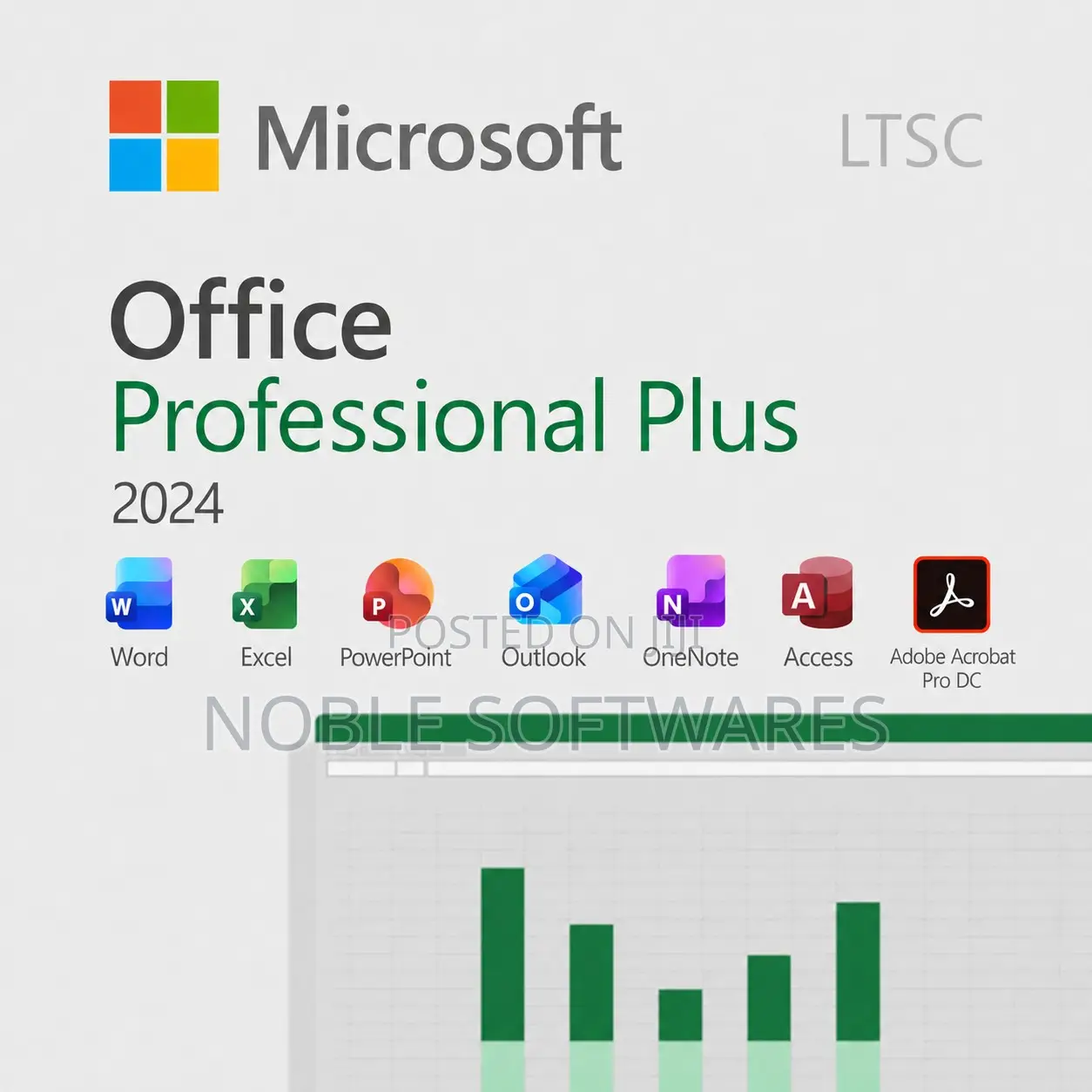 Microsoft Office 2024 Professional Plus ( Perpetual Lifetime )