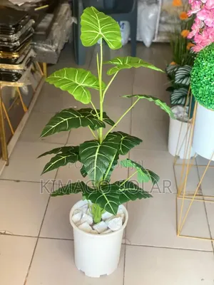 Full Decoration Plant Kwa Sebule Na Office 110cm