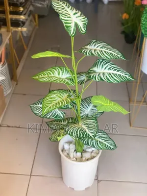 Maua Makubwa, Full Set Kama Ilivyo Kwenye Picha Mikoani Tunatuma