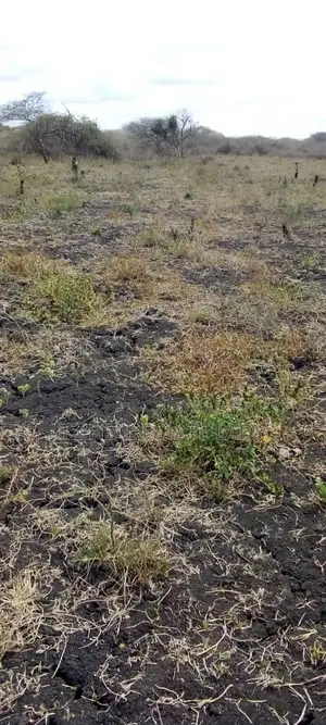 Investment Opportunity – Farm/Land for Sale