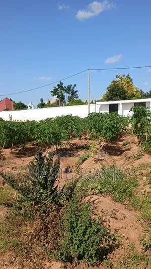Plot for Sale Mwanza