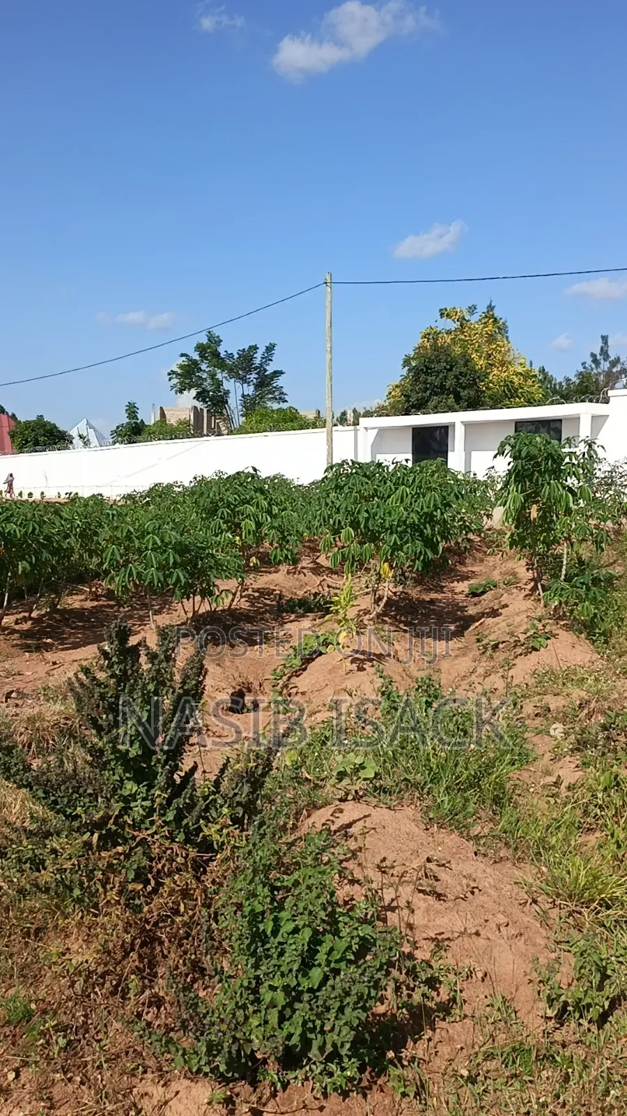 Plot for Sale Mwanza