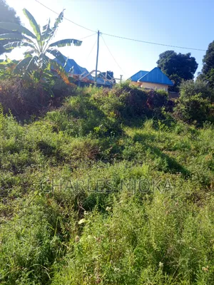 Kiwanja Hiki Kina Sqm 300 Matumizi Yake Makazi Kipo Chuorada Ilala Dsm