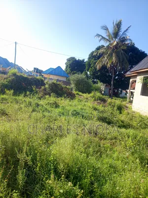 Kiwanja Hiki Kina Sqm 300 Matumizi Yake Makazi Kipo Chuorada Ilala Dsm