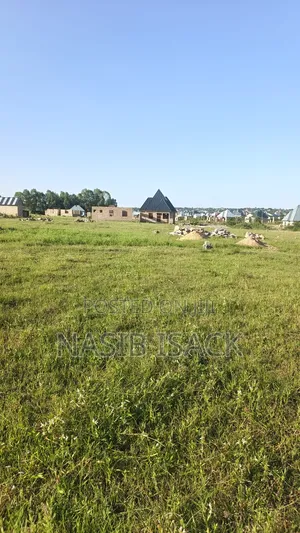 Plot for Sale Mwanza Kanyama